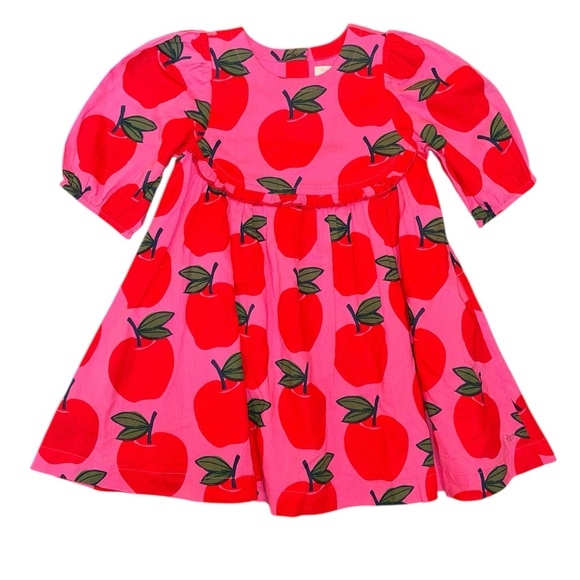 Pink Chicken Other - Pink Chicken Vibrant Red and Pink Apple Dress